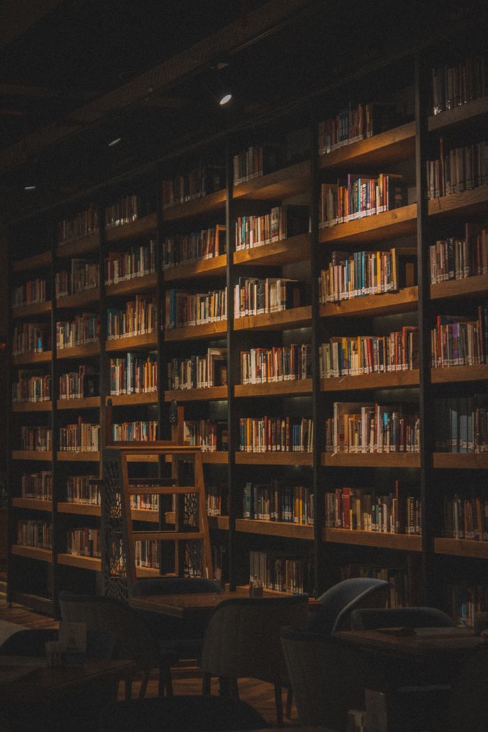 Cozy library scene featuring tall wooden bookshelves filled with books.