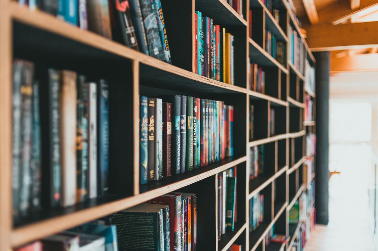 Colorful books neatly arranged on modern shelves in a bright library.